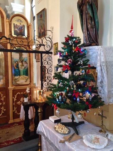 16-Vánoční stromek 31-12-2017.jpg